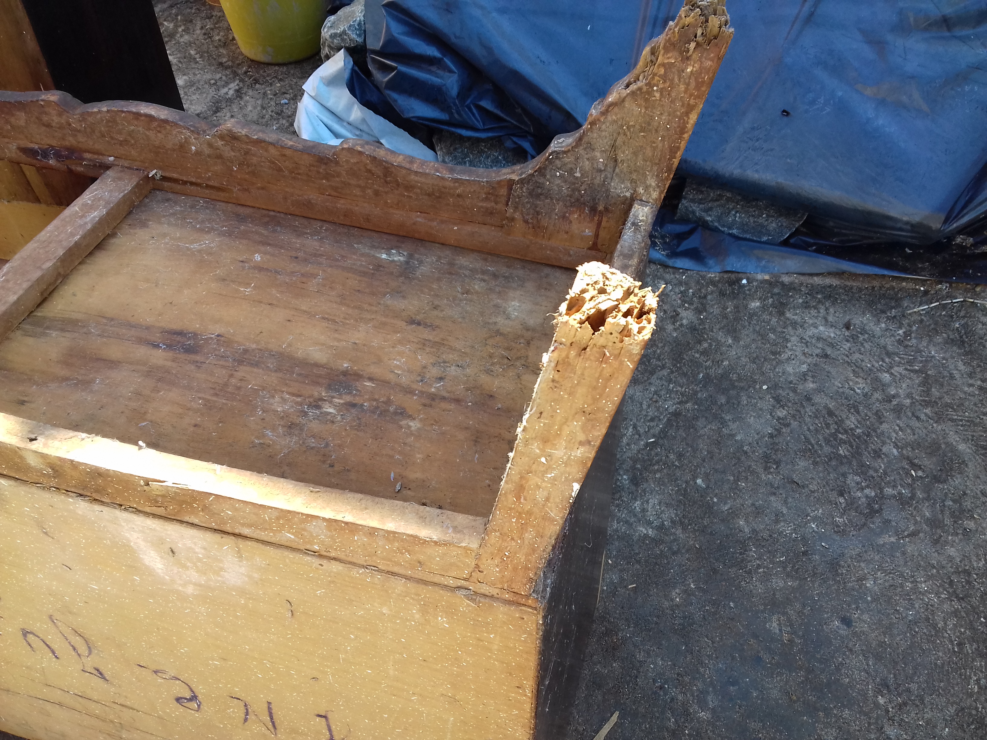 Tratamento contra Cupim